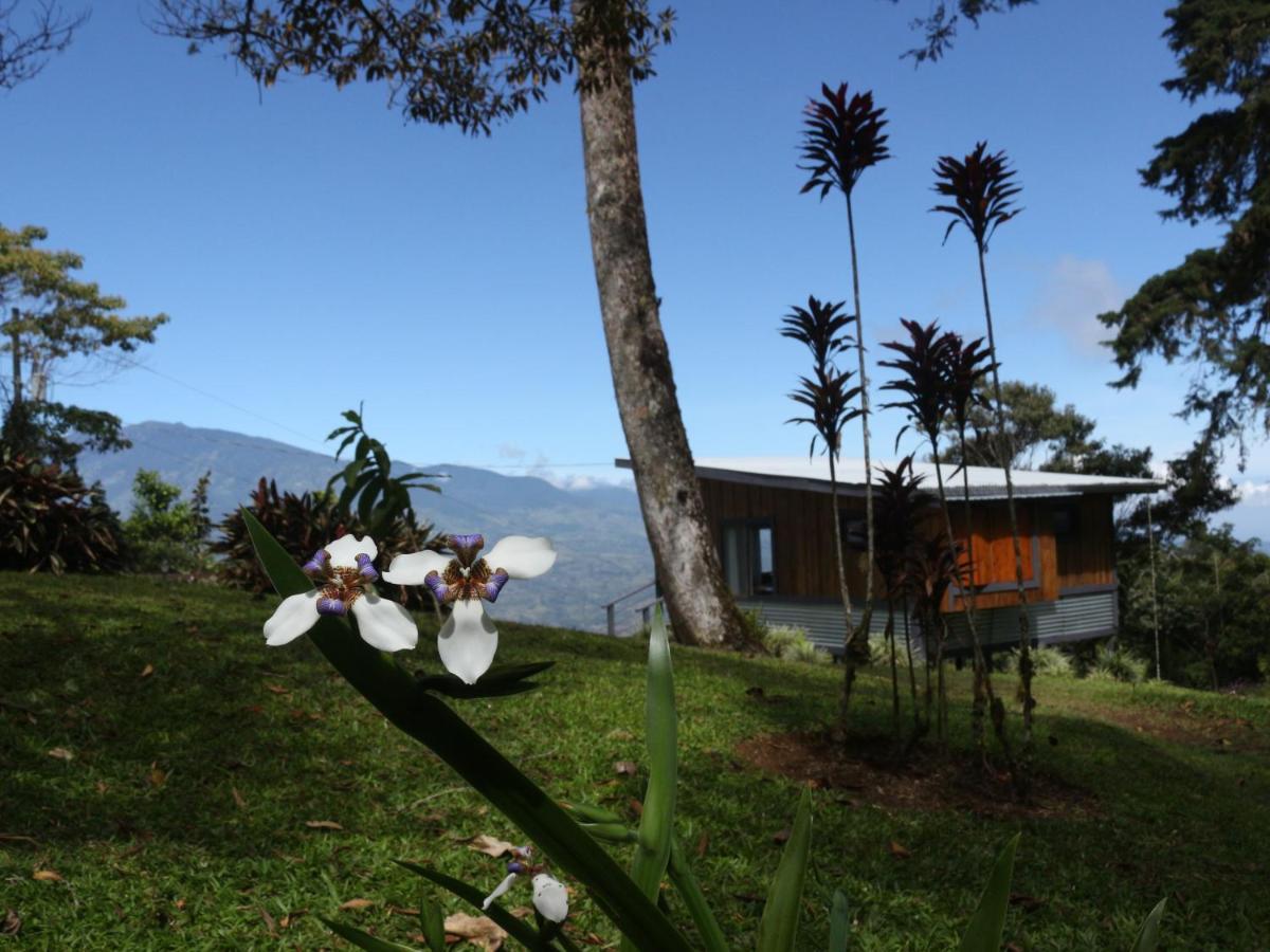 The Lodge At Reventazon River Mountain Ranch Turrialba Dış mekan fotoğraf